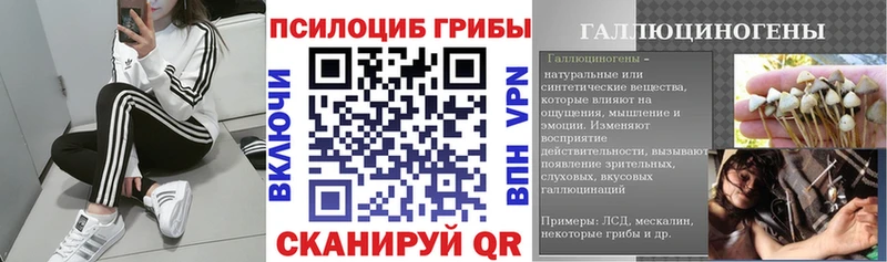 Псилоцибиновые грибы Psilocybine cubensis  Купить где  Дмитровск 