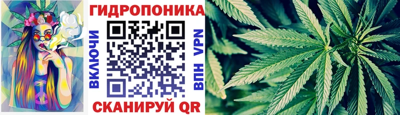 Купить закладки  Дмитровск  Марихуана гибрид 